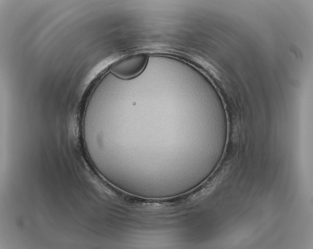 X0000112971458200909171308