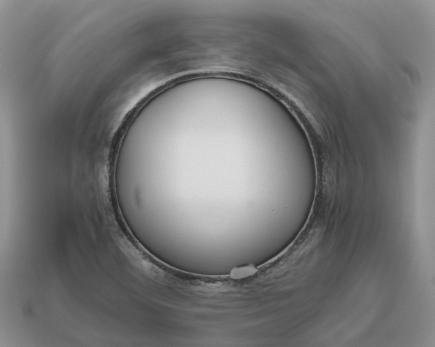 X0000112971460200909171308