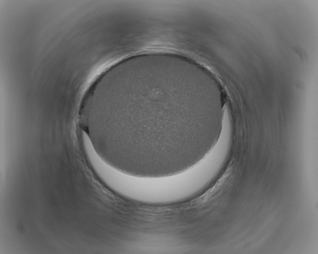 X0000112971461200909171308