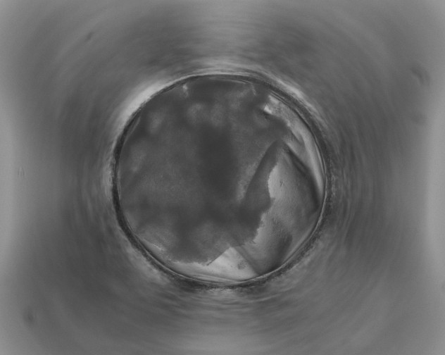 X0000112971463200909171308