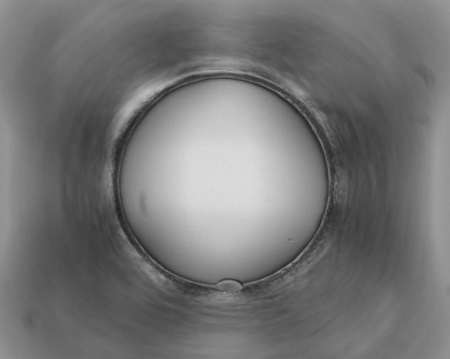 X0000112971464200909171308