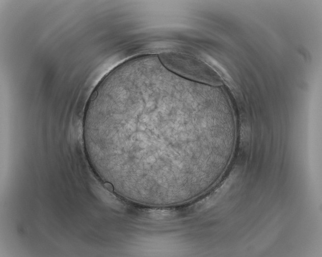 X0000112971465200909171308