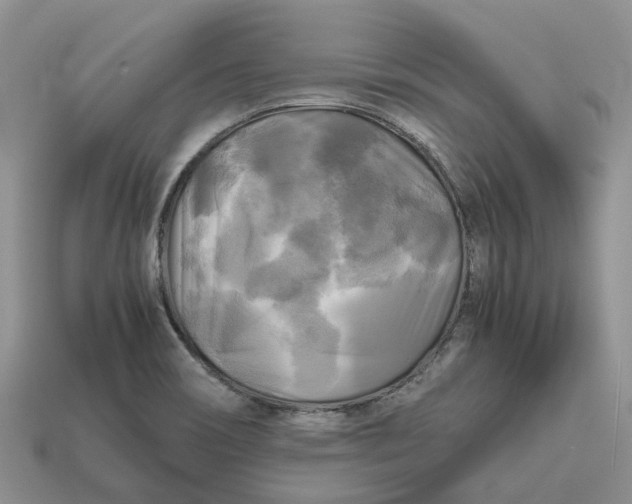 X0000112971466200909171308