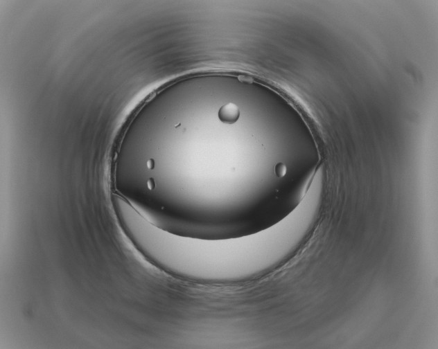 X0000112971468200909171308