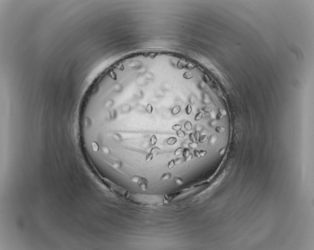 X0000112971469200909171308