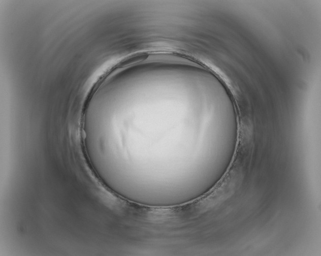 X0000112971477200909171308