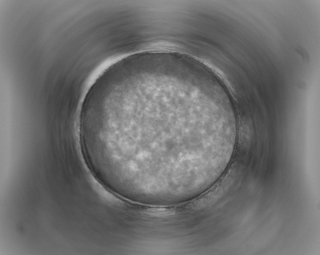 X0000112971478200909171308