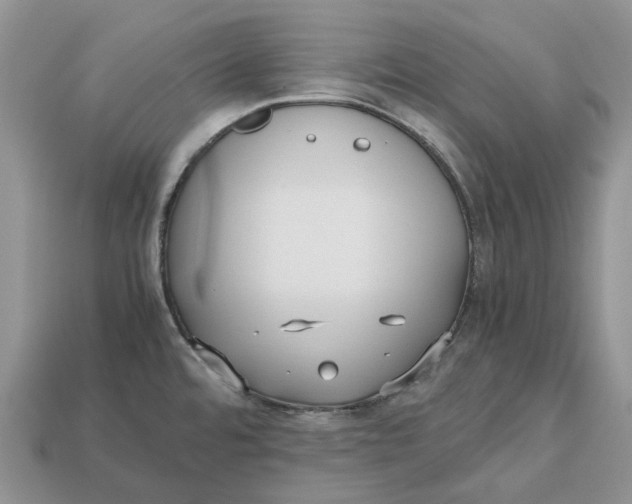 X0000112971480200909171308