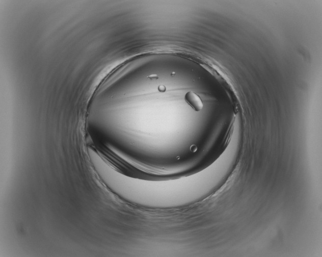 X0000112971481200909171308