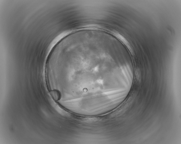 X0000112971482200909171308