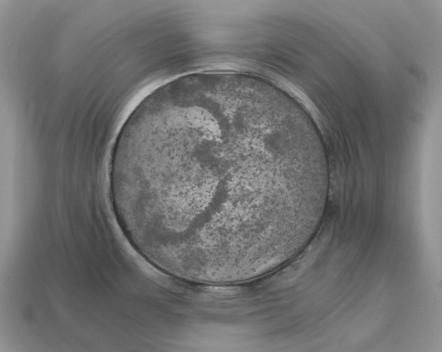 X0000112971483200909171308