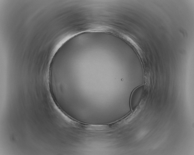 X0000112971487200909171308