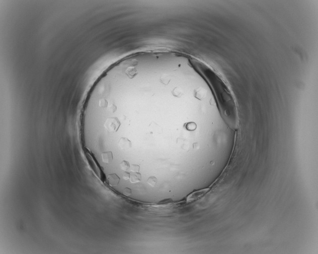 X0000112971488200909171308