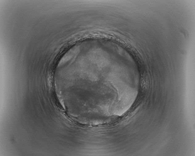 X0000112971490200909171307