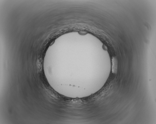 X0000112971491200909171307