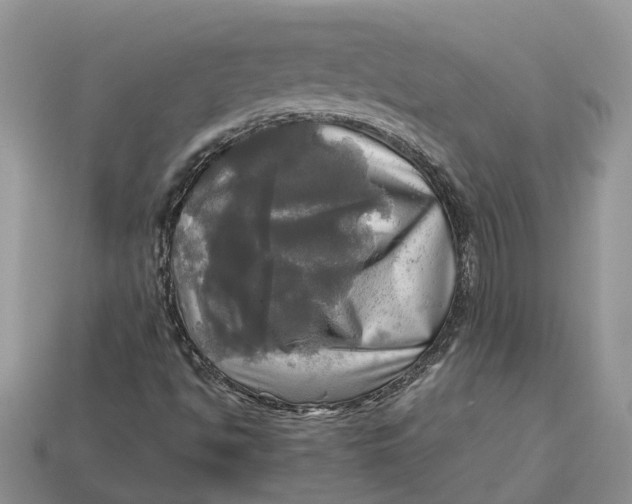 X0000112971494200909171307