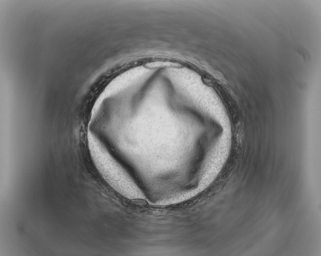 X0000112971495200909171307