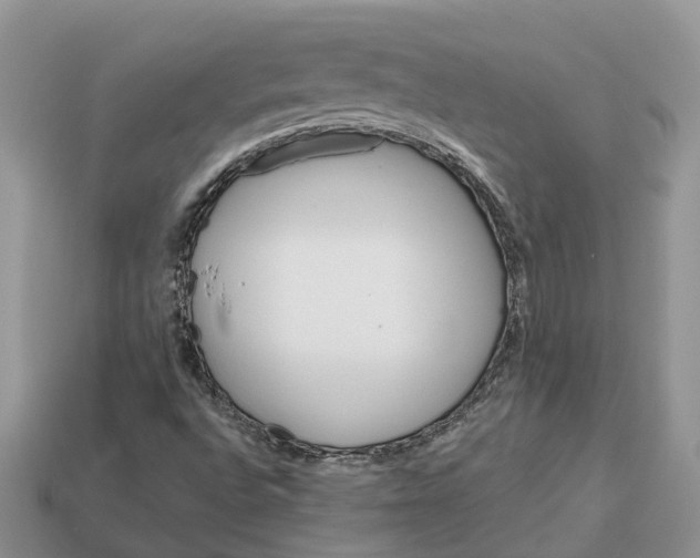 X0000112971496200909171307