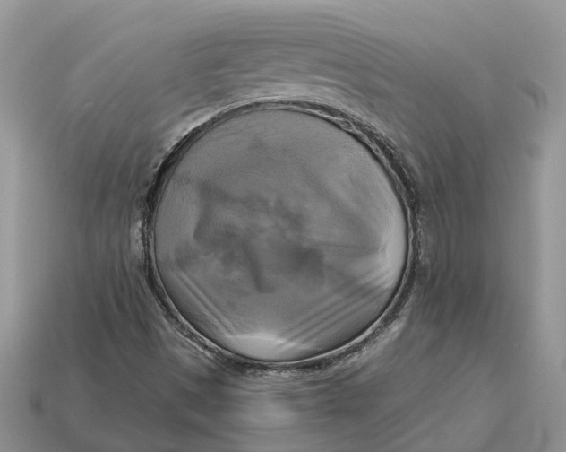 X0000112971497200909171307