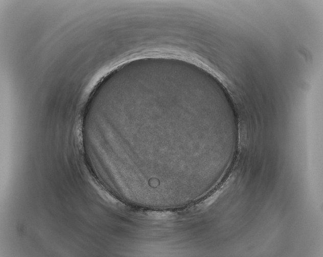 X0000112971498200909171307