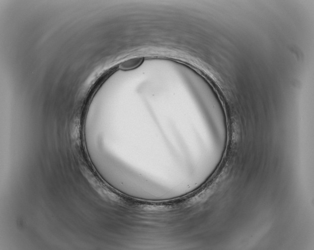 X0000112971499200909171307