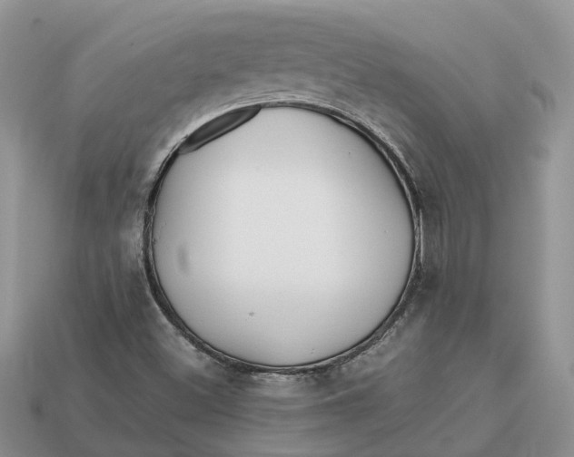 X0000112971500200909171307