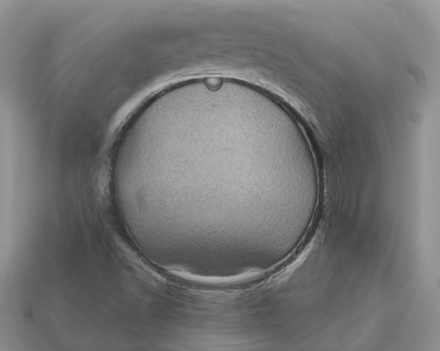 X0000112971502200909171307