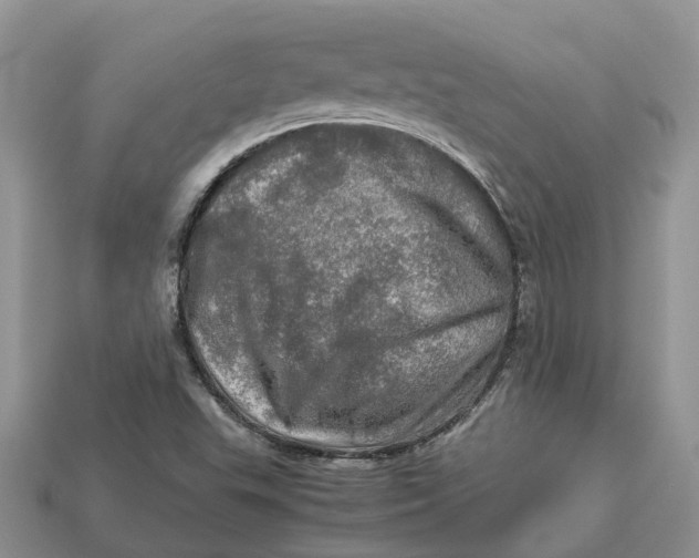 X0000112971503200909171307