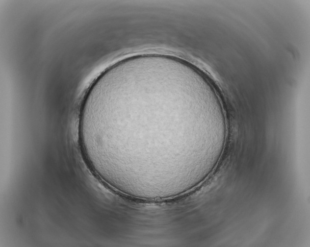 X0000112971504200909171307