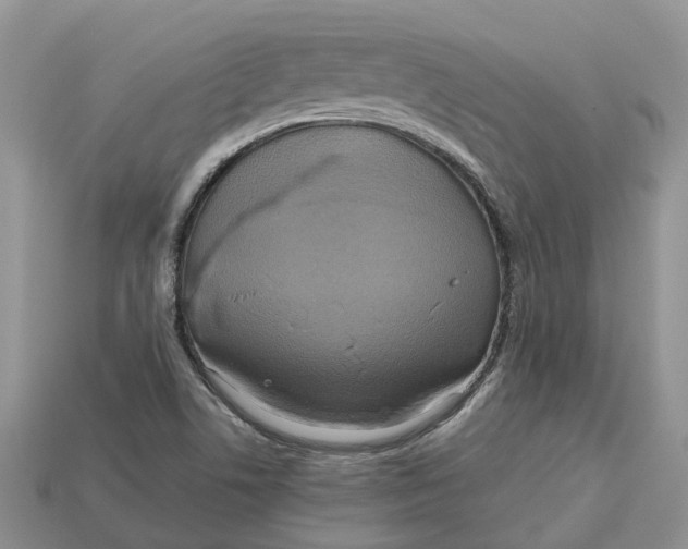 X0000112971506200909171307