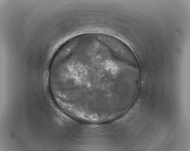 X0000112971507200909171307