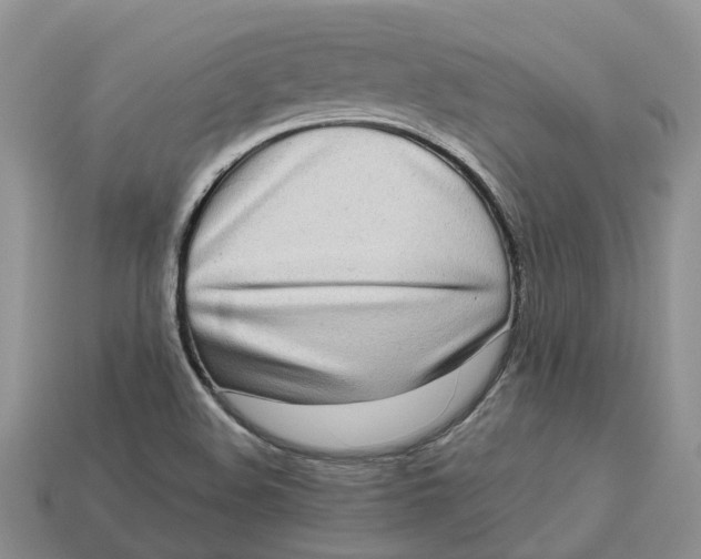 X0000112971508200909171307