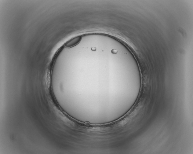 X0000112971510200909171307