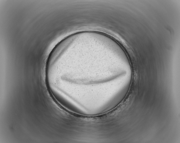 X0000112971512200909171307