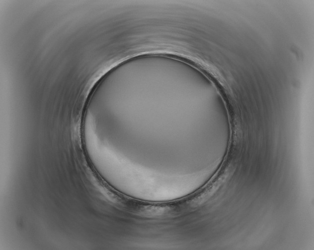 X0000112971513200909171307