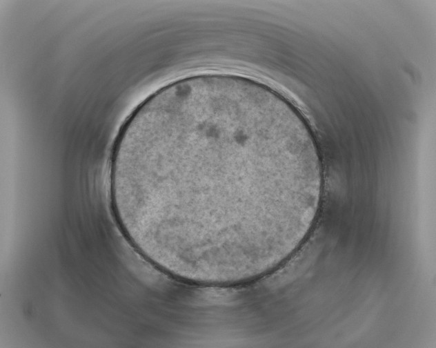 X0000112971514200909171307