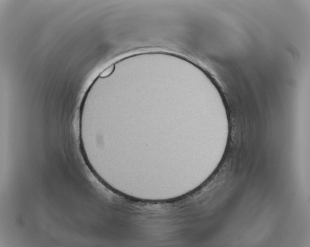 X0000112971516200909171307