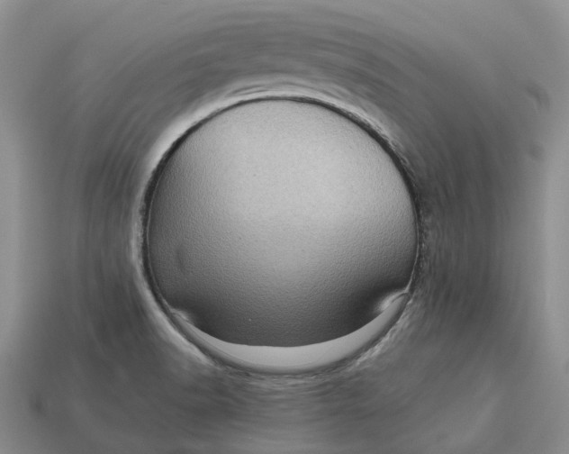 X0000112971518200909171307