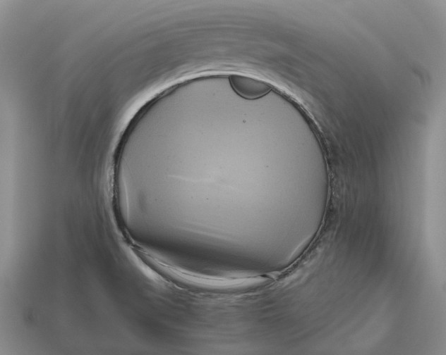 X0000112971519200909171307