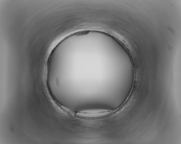 X0000112971520200909171307