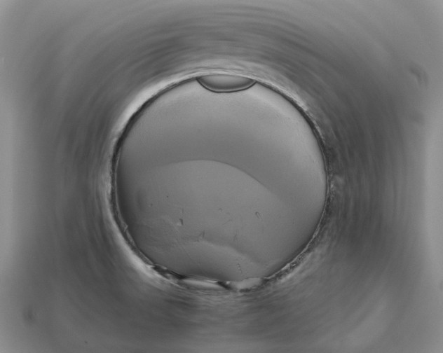 X0000112971523200909171307