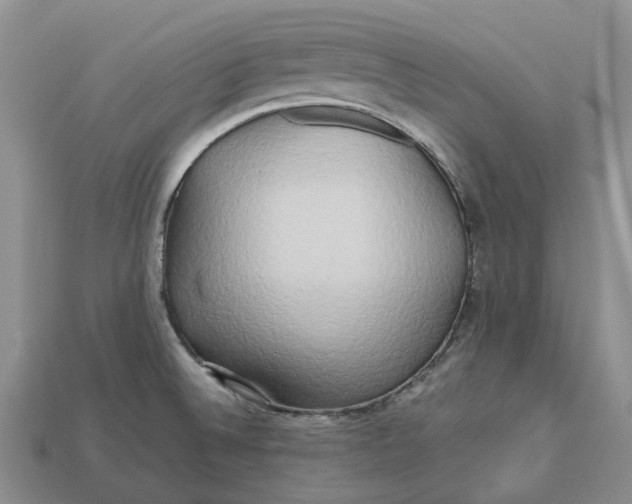 X0000112971524200909171308