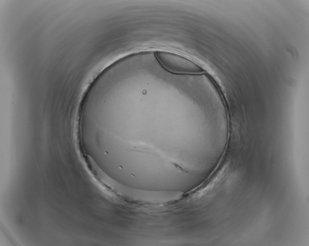 X0000112971525200909171308