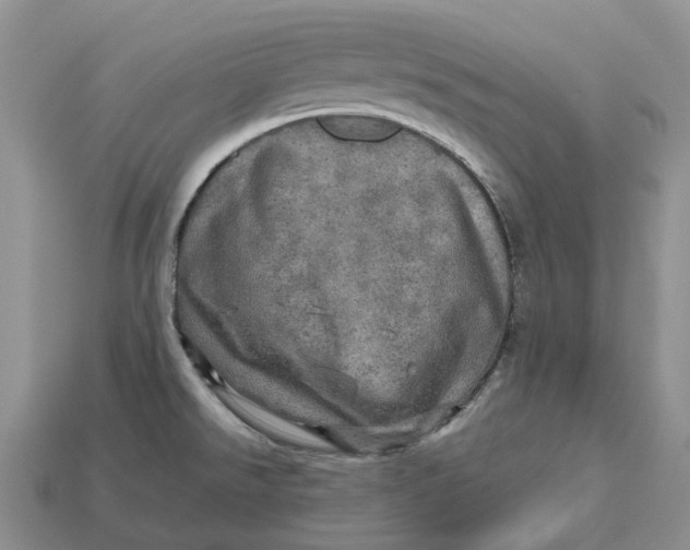 X0000112971526200909171308