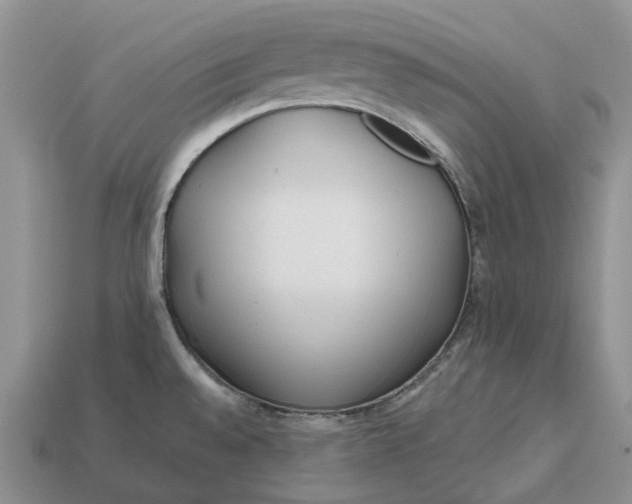 X0000112971528200909171308