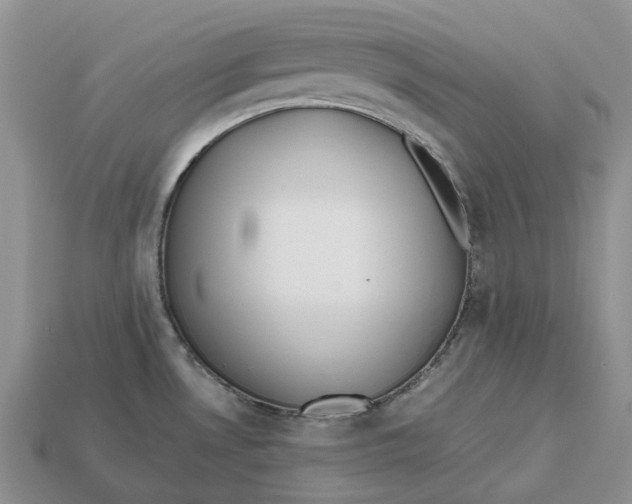 X0000112971530200909171308