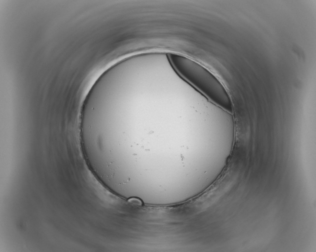 X0000112971532200909171308