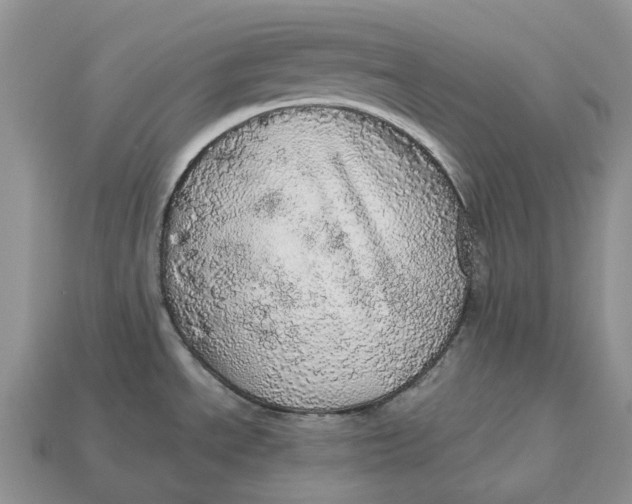 X0000112971534200909171308