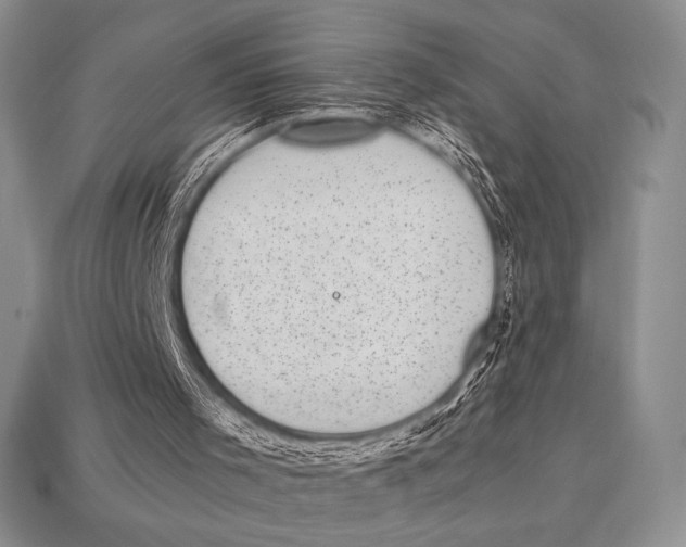 X0000112970001200909241336
