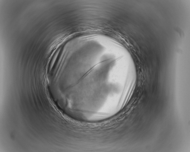 X0000112970002200909241336